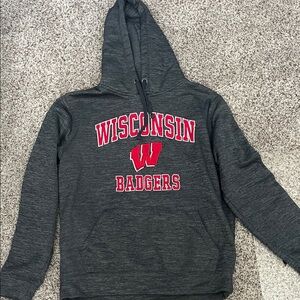 Colosseum Gray and Red Hoodie
